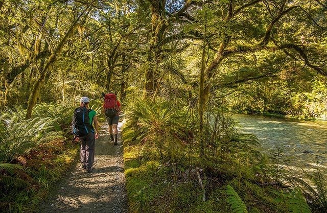 뉴질랜드 밀포드트레킹 9일 꿈의길, 세계에서 가장 멋진 산책로를 걷다. _2
