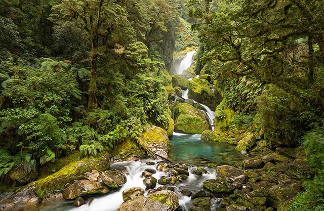 뉴질랜드 밀포드트레킹 9일 꿈의길, 세계에서 가장 멋진 산책로를 걷다. _7